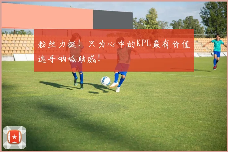 粉丝力挺！只为心中的KPL最有价值选手呐喊助威！