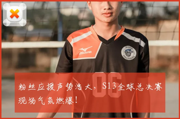 粉丝应援声势浩大,S13全球总决赛现场气氛燃爆!