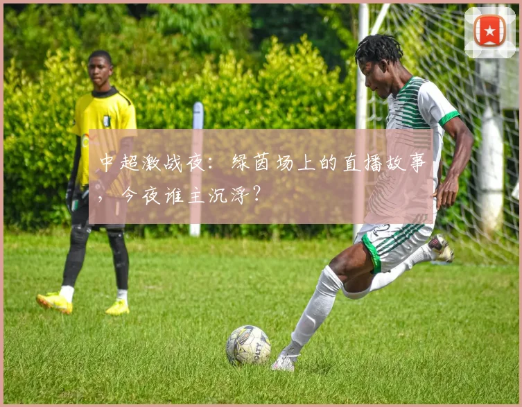 中超激战夜:绿茵场上的直播故事,今夜谁主沉浮?